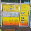 새천년의 빛 이미지