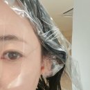 헤어그리니 네이버블로그