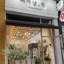 피어날현