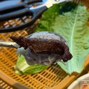 숯소 | 맛집) 순천 신대지구 소고기 ‘숯소’ 후기