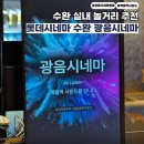 밧데리아울렛 | 수완 실내 놀거리 광음시네마 추천 롯데시네마 수완아울렛 군체 후기