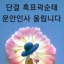 11월5일 흑표곽순태 문안인사 올립니다. 단결~~^^ 이미지