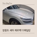 제로백디테일링