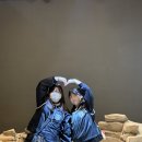 로운태권도 이미지