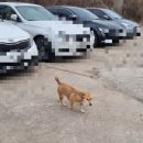 참숯마을식당 이미지