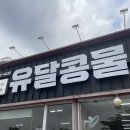 유달유통 | 목포 | 팜유도 반한 유달콩물 평화광장점 내돈내산 후기
