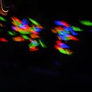 와인터널주차장 이미지