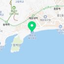 진심족발