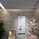 카페 파크뷰 cafe park view | 도쿄 2박 3일 일정 추천｜1일차 - 맛집부터 전망대까지 직접 다녀온 완벽 코스