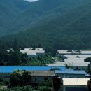 다원스마트팜 이미지