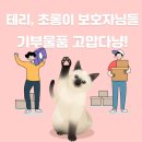 ﻿부산24시강아지화장 유기동물 보호소 기부 물품 소개 이미지