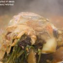 메기대감 이미지