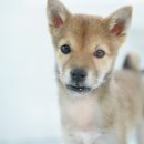 의구농장 이미지