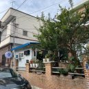 얀별은하수 | 마산꽃다발 합성동꽃집 [얀별은하수] 2만원 미니꽃다발 후기