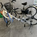 대구농업마이스터고등학교 수영장 이미지