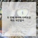 (가족) 건강하고 맛있는 요리 이미지