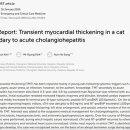 한남심장내과동물병원 이미지