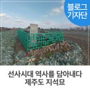 광령지석묘 5호 | 제주도 지석묘
