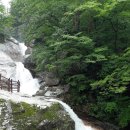 구룡목장2 이미지