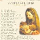 우리화 이미지