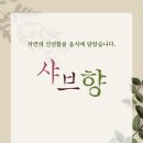 샤브향 문래점 네이버블로그