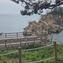해들목 이미지