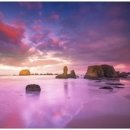 메타버스랩스 주식회사 이미지