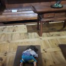 장원소머리국밥 | 여행 : 롯데리조트 | 아쿠아가든 | 삼정식당 | 백제문화단지 | 맛소네 | 롯데아울렛 | 사또국밥 | 궁남지