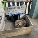 아이렌트카 이미지