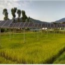 가평 태양광발전소 이미지