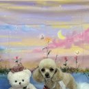 라온펫미용실 이미지