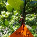 청석농장 이미지