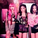 블랙핑크 카카오 검색결과