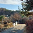 절골체육공원 이미지