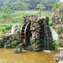 들꽃세상 이미지