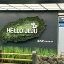 제주대학교 박물관 | 제주대 학점교류 후기