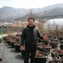 노천농장 이미지