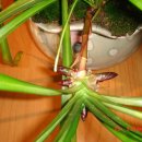 길상초등학교 이미지