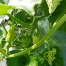 충청농장 이미지