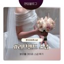 앤드엔 | 결혼식 아이폰스냅 추천 러브앤드스냅 본식 후기