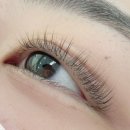 라미네일 이미지