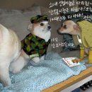 ㅎㅎㅎ
