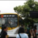 정일당강씨묘 이미지