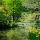 경상남도수목원(수생식물원) 이미지