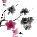 베토벤하우스아카데미 | 세계 최고 현악4중주단