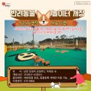 반려동물놀이터 이미지