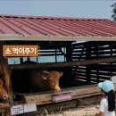 초원목장 이미지