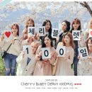 🎉 체리블렛 🍒 이미지