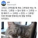 그루밍 멍 이미지