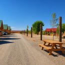 11월 8일-11월 11일 라스베가스 동행 구합니다! 이미지